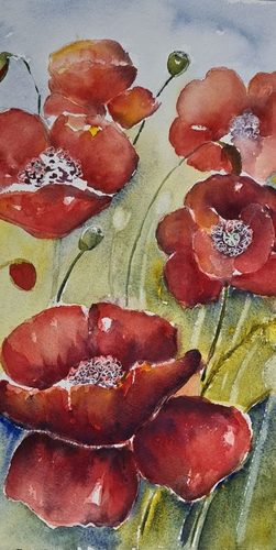 Christine M.  Poppy field, watercolour.